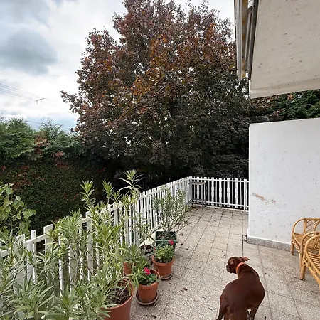 Chill&pool Retreat Almádi Balatonalmádi